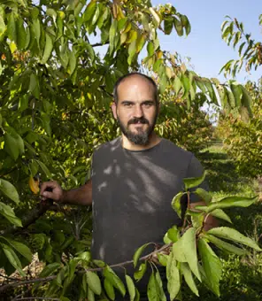 Bertrand, producteur de cerises