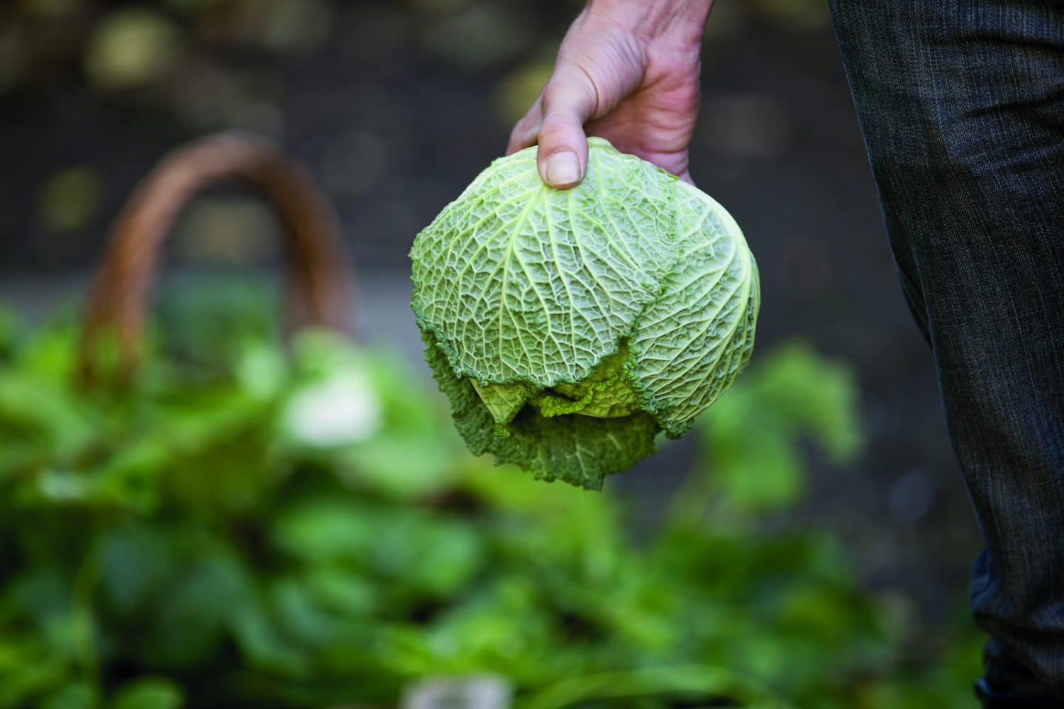 Les flux de la filière fruits et légumes frais infos_ctifl 377 - CTIFL