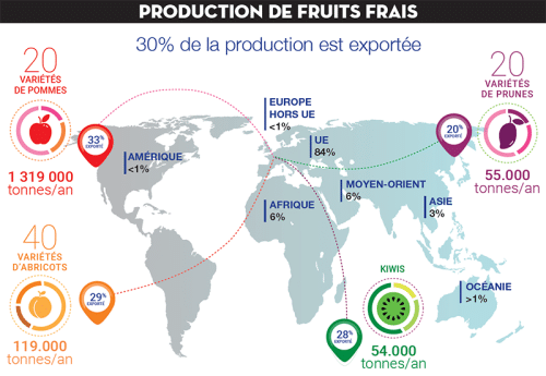 Tableau cuisine carte du monde Fruits et Légumes