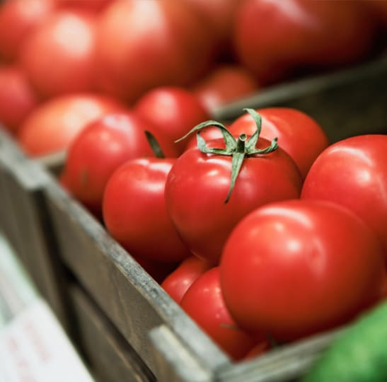 Cagette de tomates