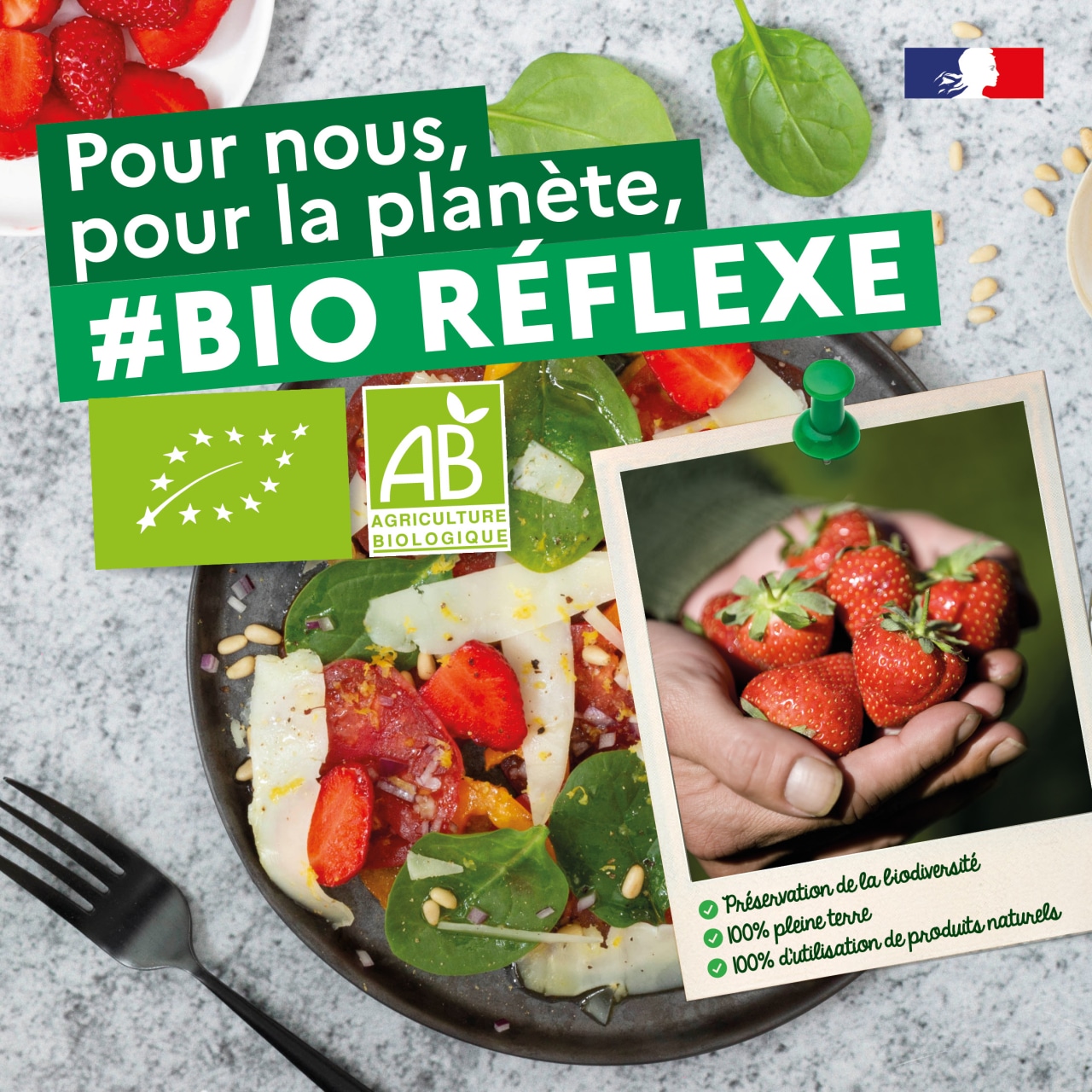 Recette campagne bio réflexe