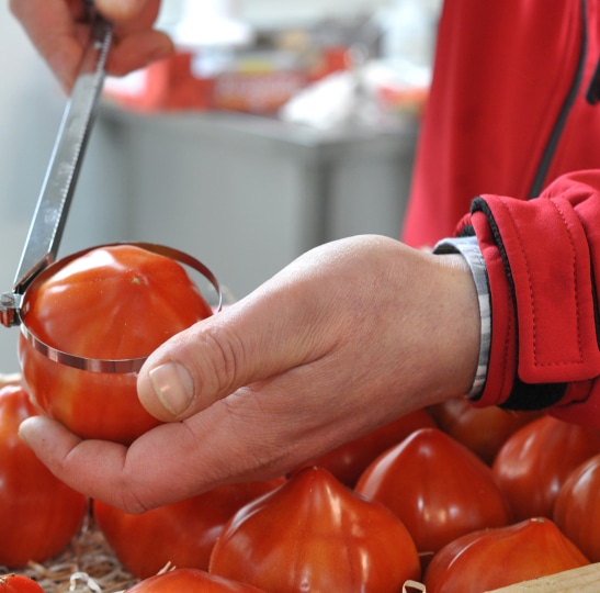 Journée Nationale Première mise en marché - CTIFL