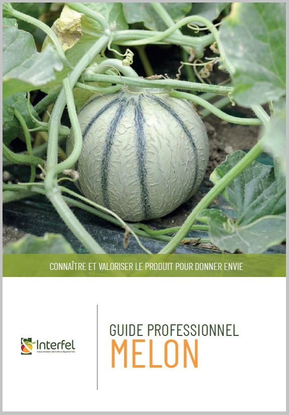 Guide professionnel melon