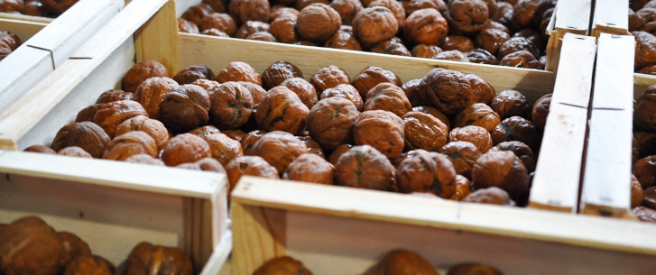 Production de noix frâiches