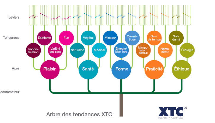 arbre des transferts