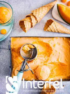Sorbet melon