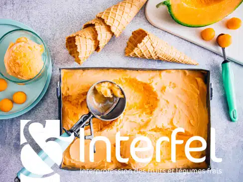 Sorbet melon